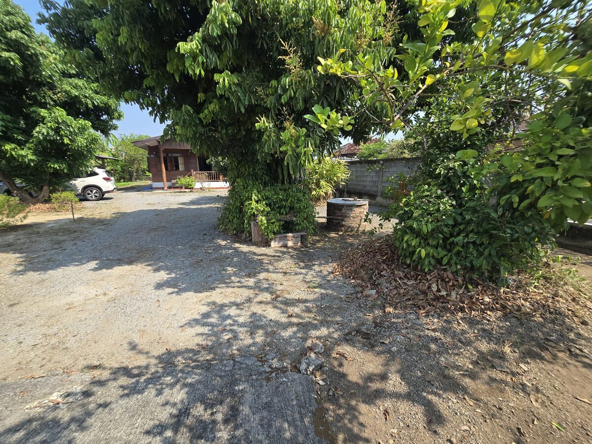 Peaceful Organic Garden Wooden Home on Massive 1,048 sqm Land — photo 5